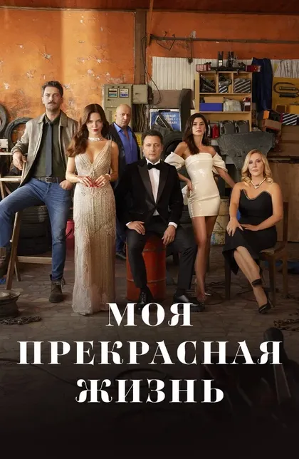 Постер Моя прекрасная жизньŞ